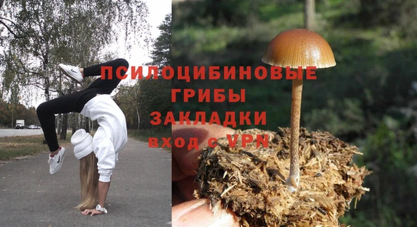 мескалин Балахна