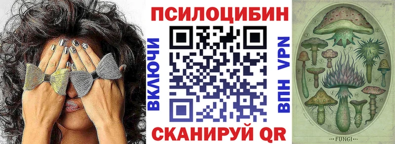Галлюциногенные грибы Psilocybine cubensis  kraken рабочий сайт  Новозыбков  продажа наркотиков 